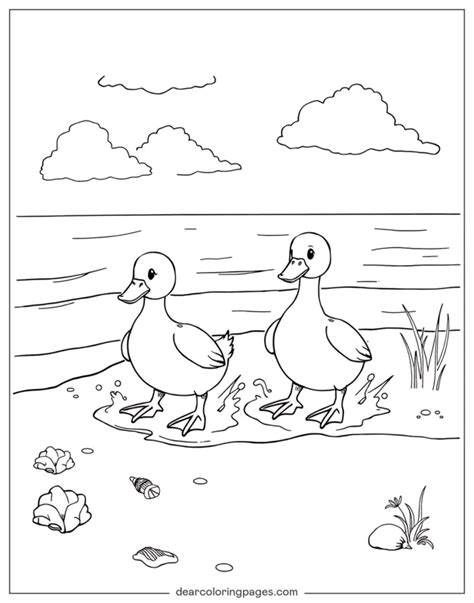 Duck Coloring Pages - 24 Free Printable Coloring Pages