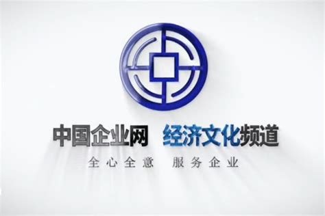 九五之力 鼎力启动 中国企业网经济文化频道在京开通_凤凰网视频_凤凰网
