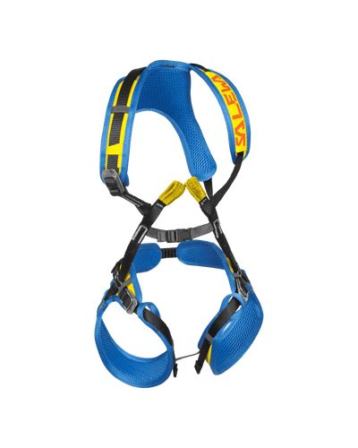 Salewa | Trekking & Hiking Shoes, Boots & Adventure Gear | Buy @ Trek ...