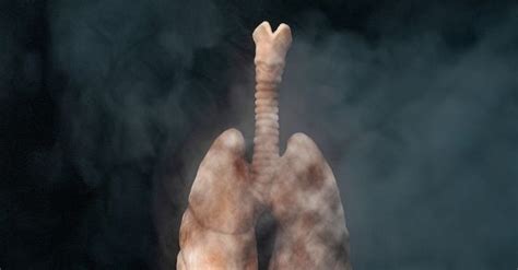 No Smoking Tips | START to stop: 5 tips for millenials to stop smoking ...