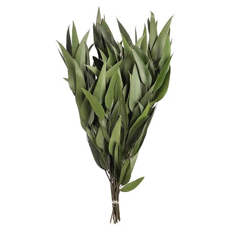 Vickerman 18-in Green Indoor Eucalyptus Artificial Plant in the ...