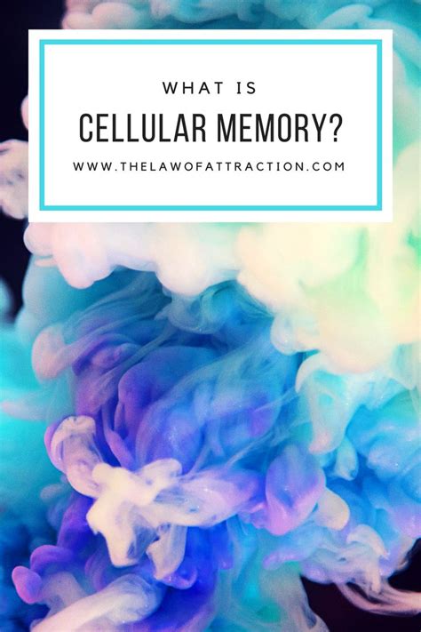 Image result for Cellular Memory Access