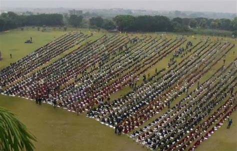 Image result for Practical Science Lesson