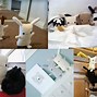 Image result for Bunny Plush Toy