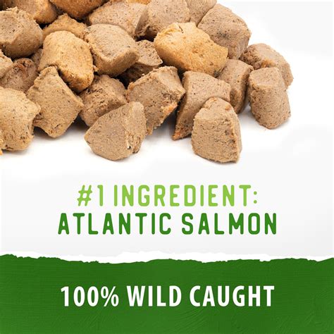 Freeze Dried Salmon Bites | Caledon Farms treats