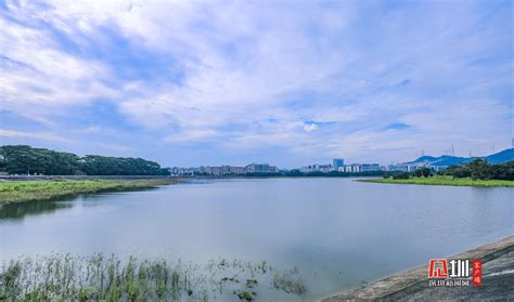 2024深圳国际水展-广东城镇供排水及智慧水务展览会_展在线
