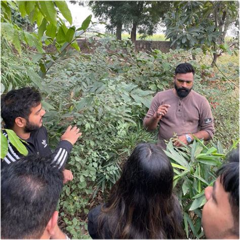 ECSO Global Pvt Ltd: Fostering a Greener Future with Urban Forests ...