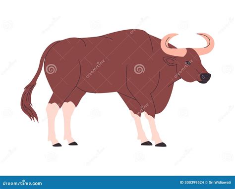 Brown Color Kouprey Wild Cattle Animal with Big Horned Herbivore Mammal ...