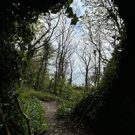 CASTLE DRIVE CAVE - All You Need to Know BEFORE You Go (with Photos ...