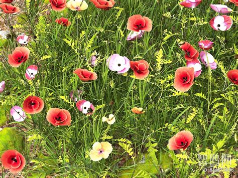 Modern Flowers And Grass sketchup Model Download - Model ID.846613885 ...