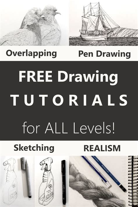 Image result for Beginner Drawing Tutorials
