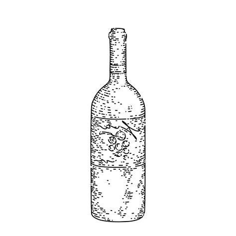 wine bottle sketch hand drawn vector 17588854 Vector Art at Vecteezy