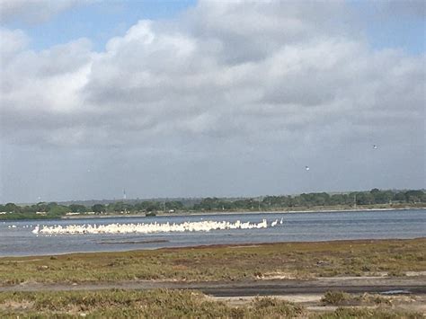 FLAMINGO BAY (Luanda) - Guesthouse Reviews & Photos - Tripadvisor