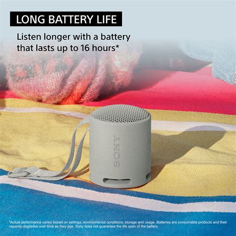 Sony SRS-XB100 Extra BASS Wireless Portable Compact Speaker IP67 Water