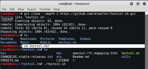 Testing all SSL Vulnerabilities with TestSSL Script - Yeah Hub