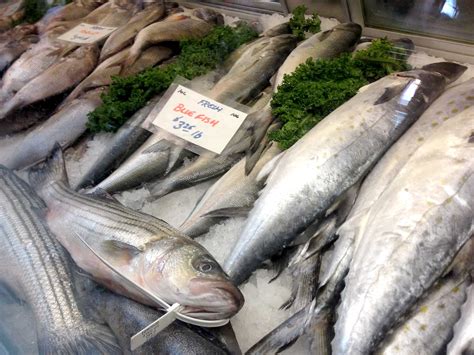 Discover Australia’s Finest Edible Fish: A Seafood Expedition