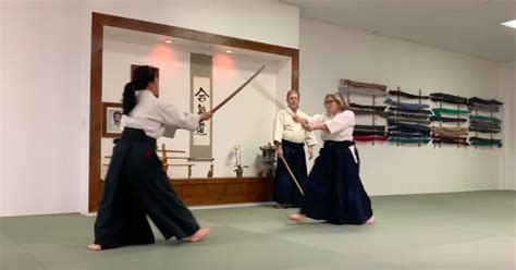 Aikido Lessons Free 的图像结果