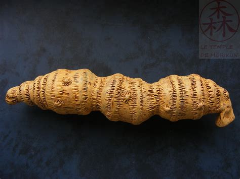 Image result for Alien Queen Laying Eggs deviantART