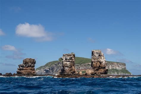 The Galapagos Islands at risk?: uncontrolled tourism threatens a unique ecosystem on the planet ...