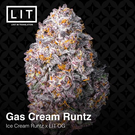 Gas Cream Runtz (Ice Cream Runtz x LIT OG) - Heavily Connected Seeds