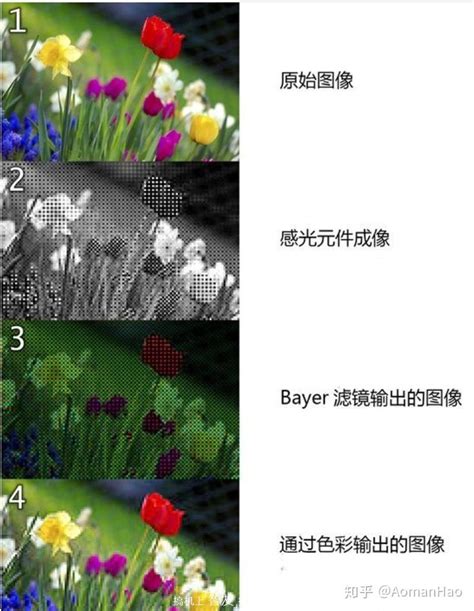 Demosaic Algorithm 的图像结果