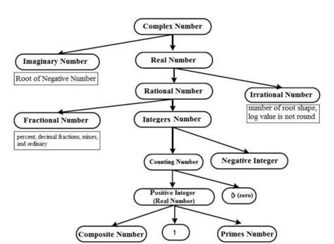 concept map real numbers - Brainly.in