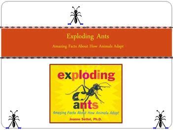 Image result for Exploding Ant Video in Reading Street Book