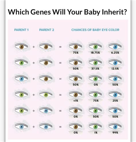Eye Color Chart Genetics 的图像结果
