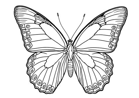 Simple Butterfly Coloring Pages Printable - prntbl ...