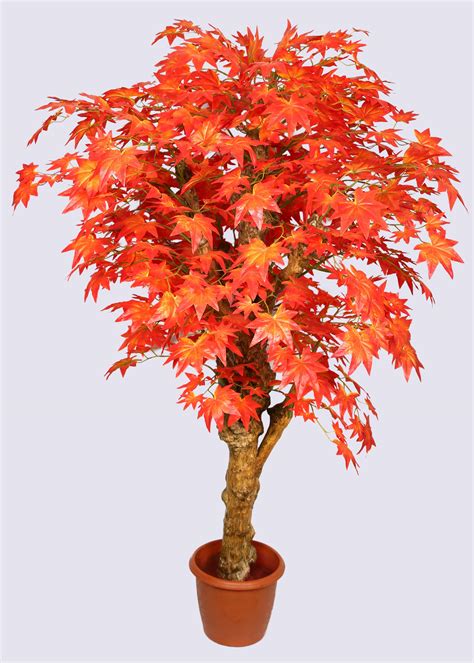 Artificial Maple Red Tree in Coffee Wood with Branches - 4 Feet ...