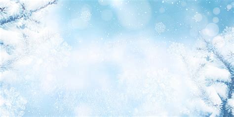 冬季植物雪松冰雪背景背景图片素材免费下载_熊猫办公