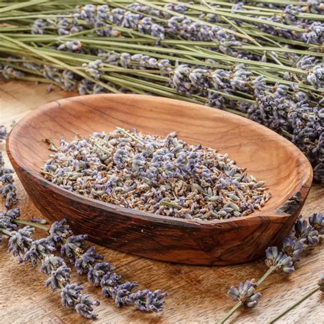 Mi casa se ve más limpia y huele mejor: este consejo que me dio mi ...