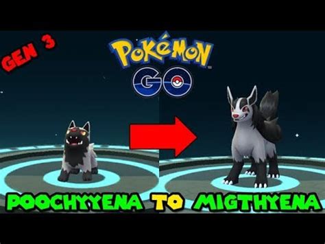Image result for Poochyena Evolution Level