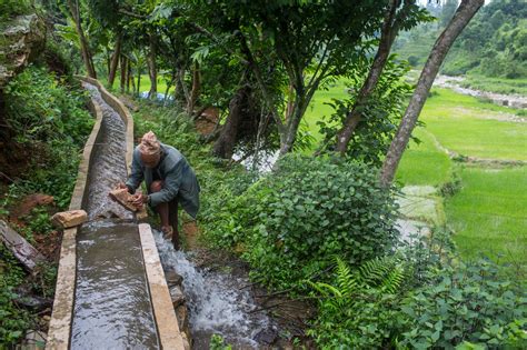 Irrigation Definition Nepali at Lisa Teixeira blog