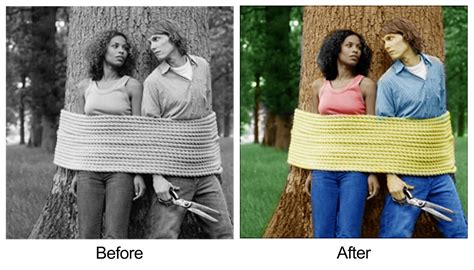 Image result for Photo Colorization