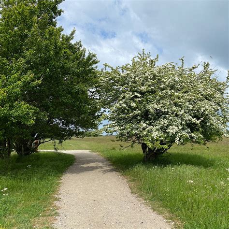 AVNO NATURCENTER - All You Need to Know BEFORE You Go 2026 (with Photos ...