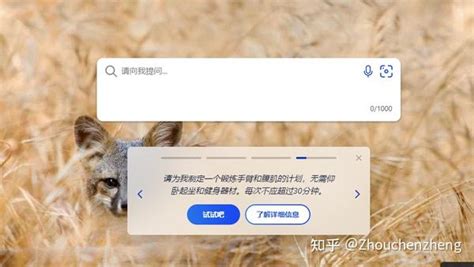 Bing Shells 的图像结果