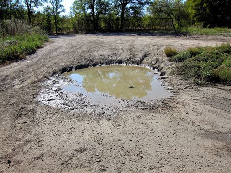 Mud Puddle Visuals S download free software - globepiratebay