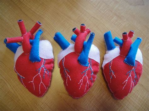 Image result for How to Make Model of Human Heart Using Flour