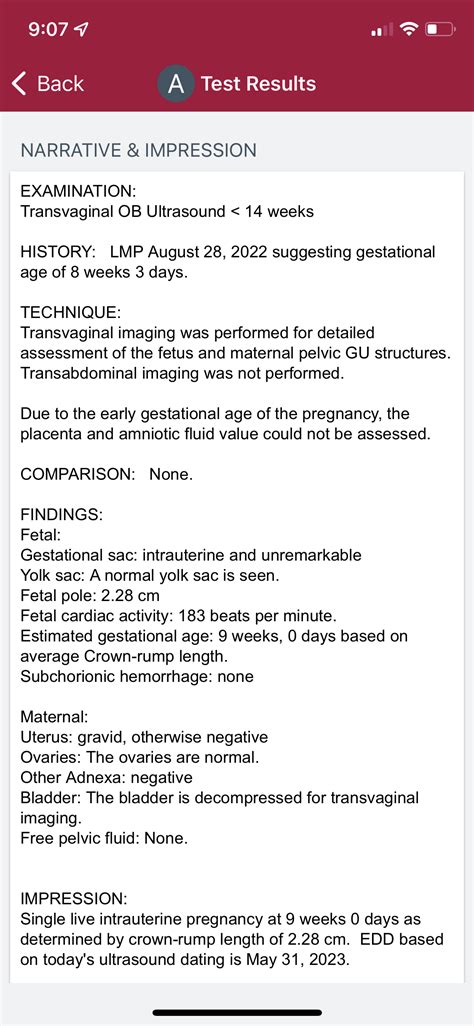 Gravid Uterus?? — The Bump
