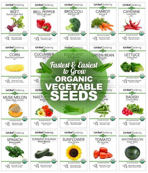 Fast Growing Vegetables – Sandia Seed Company