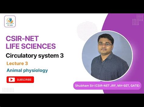 Circulatory system 3 I Animal physiology Video Lecture - Crash Course ...