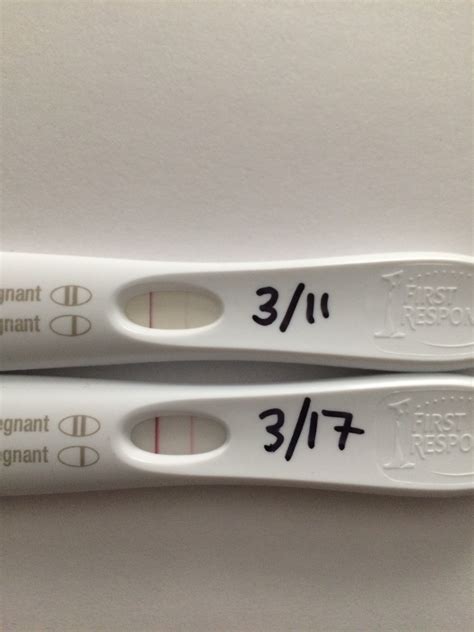 First Response Pregnancy Test First Line Dark Second Line Faint