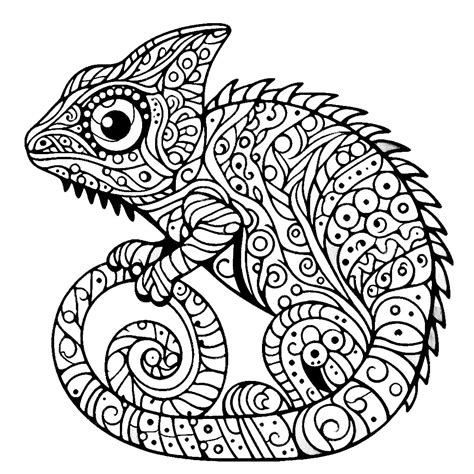 Chameleon Coloring Page How To Draw Chameleon Step By Step | Reptile