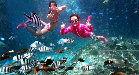 3D2N Laguna Redang Island Resort Full Board Package with Turtle ...