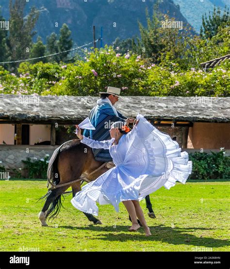 Horse show with peruvian horses hi-res stock photography and images - Alamy