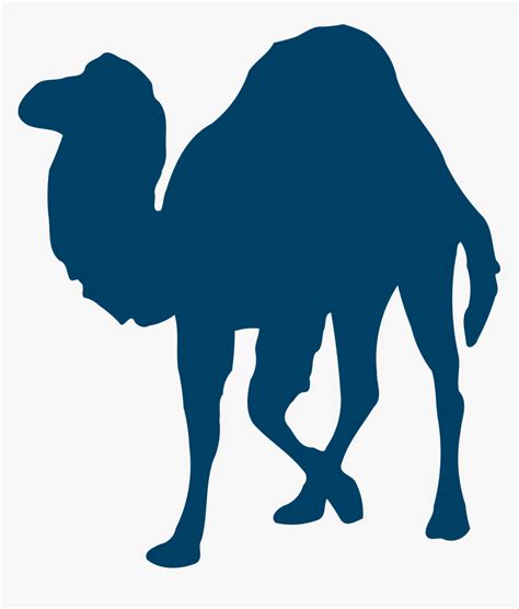 Image result for Perl Programming PNG Pic