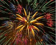 Animated Firework Clipart by Free Animated Fireworks Cliparts Free Clip Animated Firework Clipart