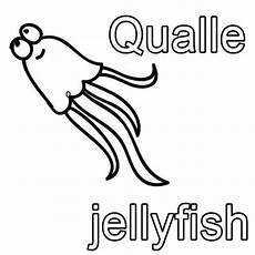 malvorlagen qualle kostenlos kostenlose malvorlage englisch lernen qualle jellyfish malvorlagen qualle kostenlos kostenlose malvorlage englisch lernen qualle jellyfish