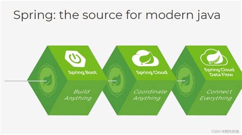 Java.sql Lite Connection 的图像结果